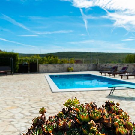 Dalmatian Country House Irena Bruska エクステリア 写真