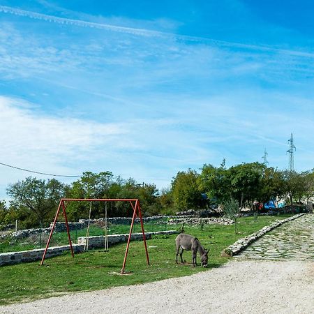 Dalmatian Country House Irena Bruska エクステリア 写真