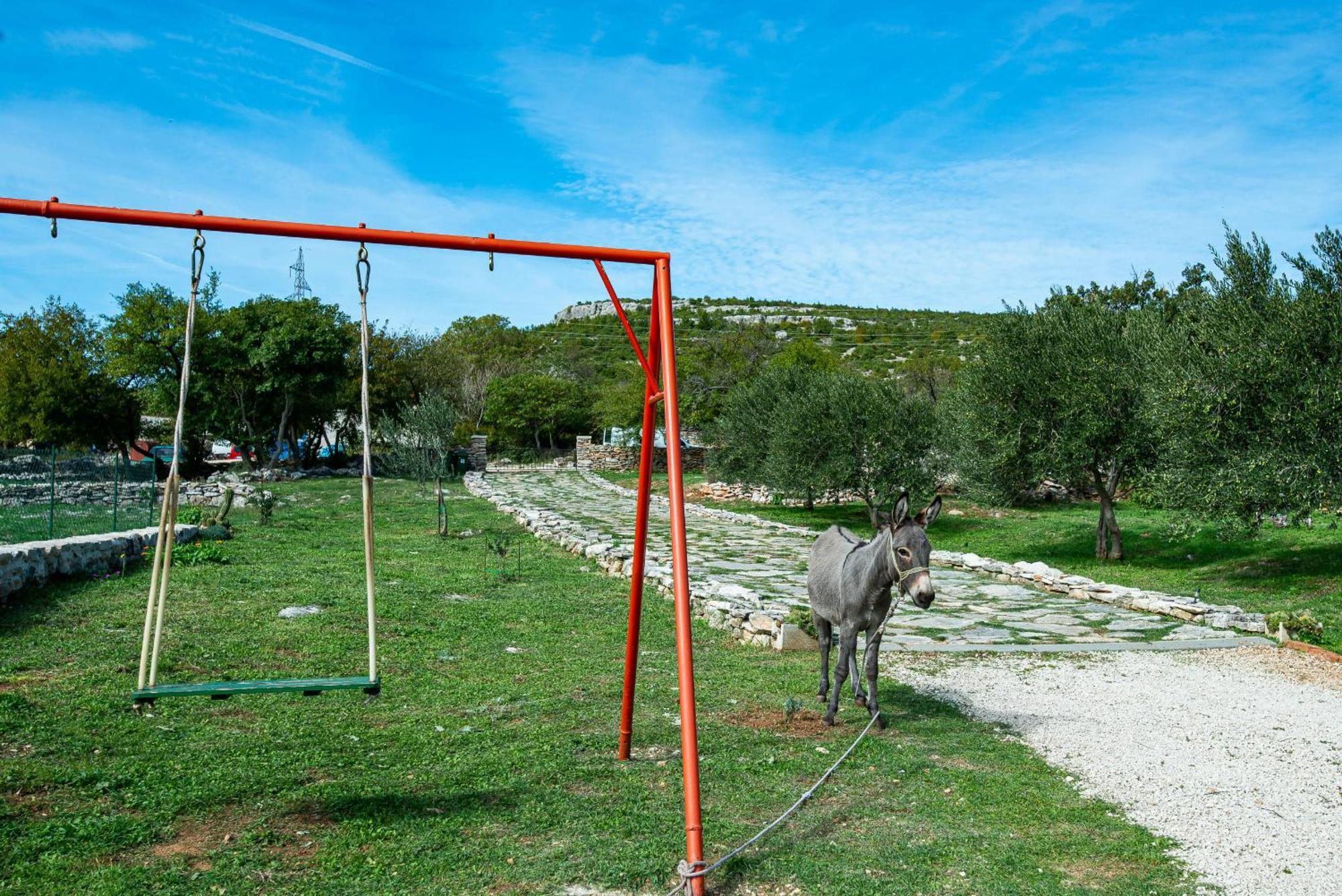 Dalmatian Country House Irena Bruska エクステリア 写真