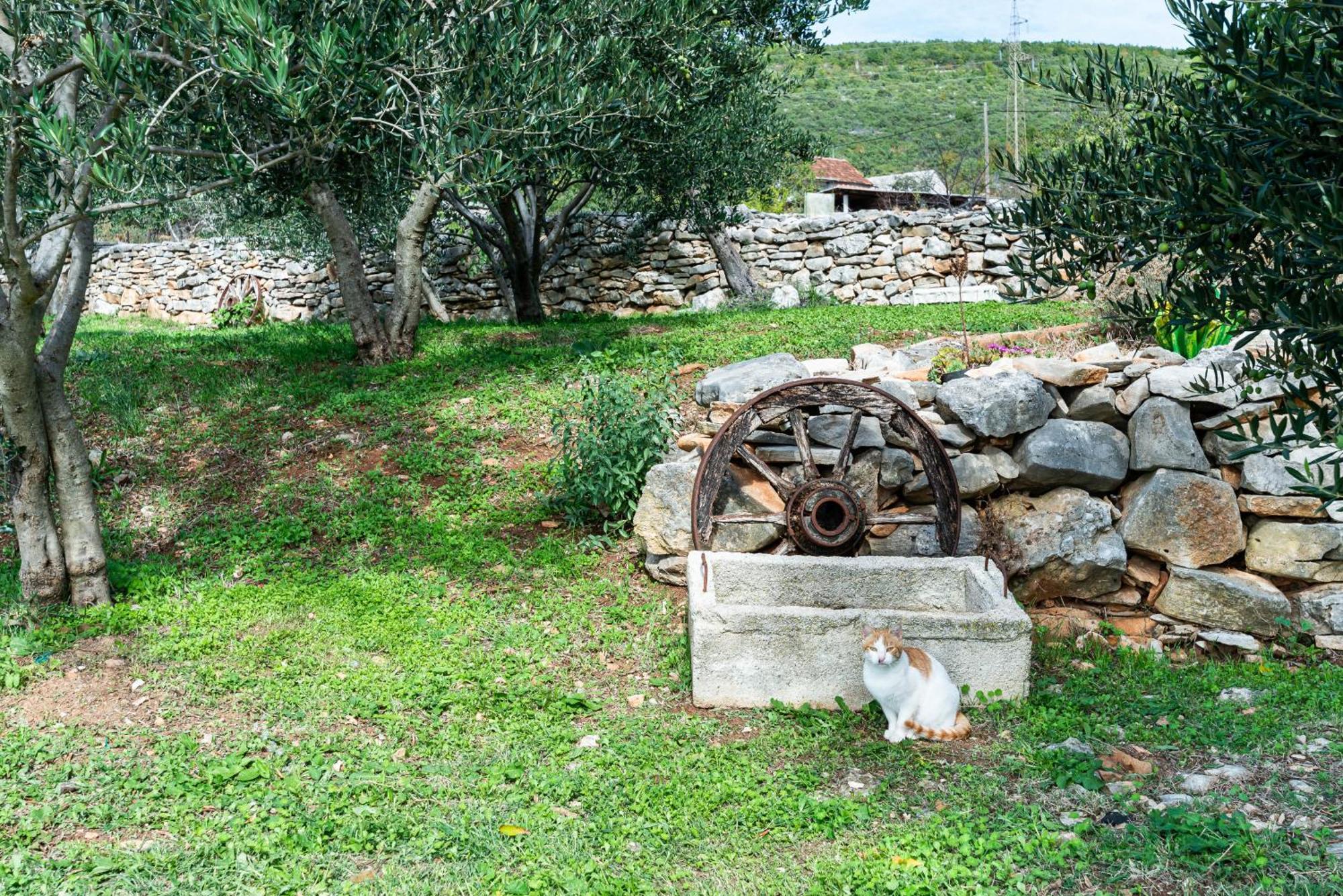 Dalmatian Country House Irena Bruska エクステリア 写真